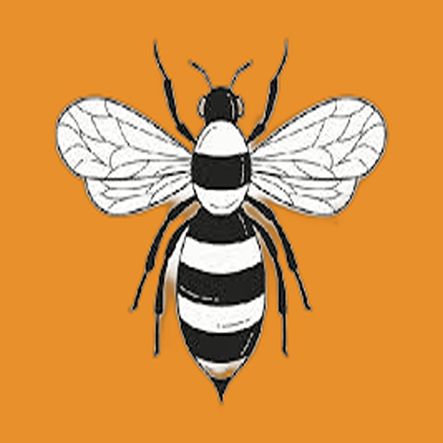 زنبور