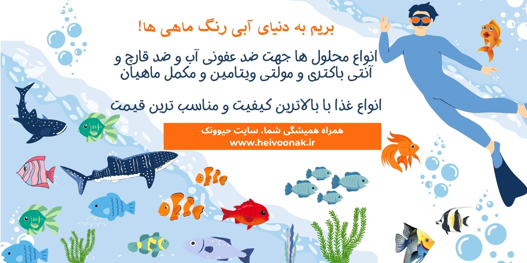 معرفی غذای پرنده