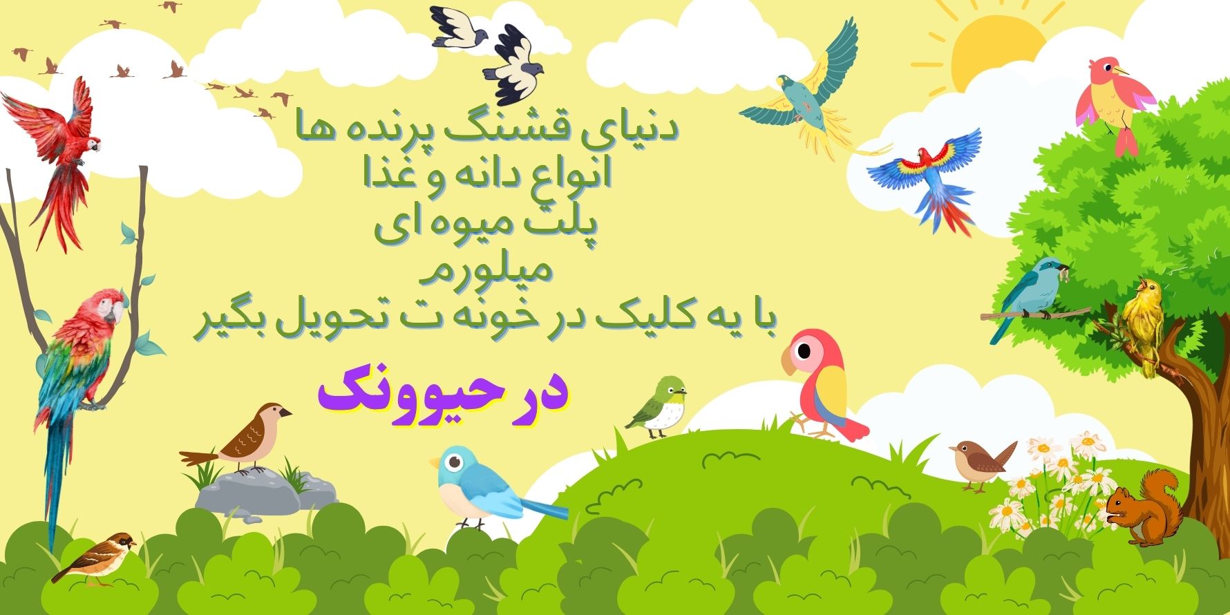 معرفی غذای پرنده